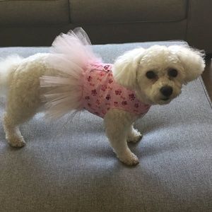 Pink Dog Harness/Dress with Tutu 10-15 lbs